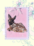 Sweet Bambi